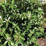article image - 